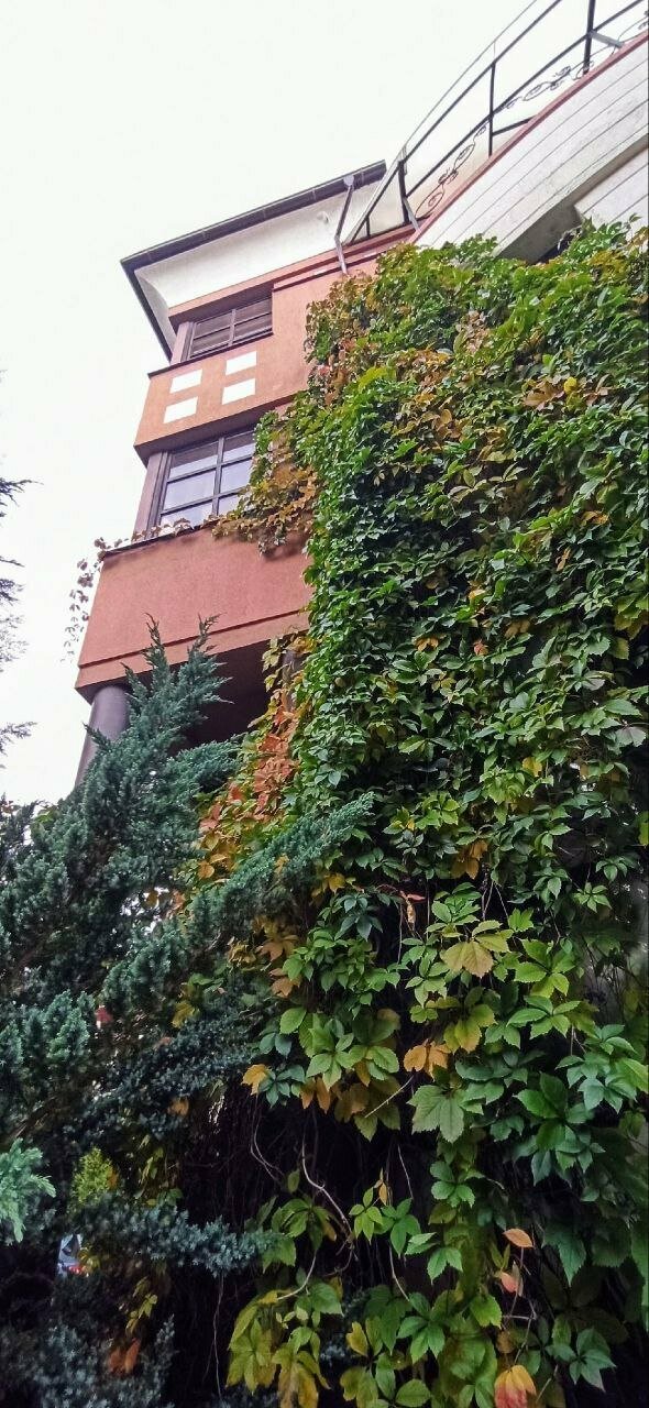 Виллы Альбертина Калининград-161