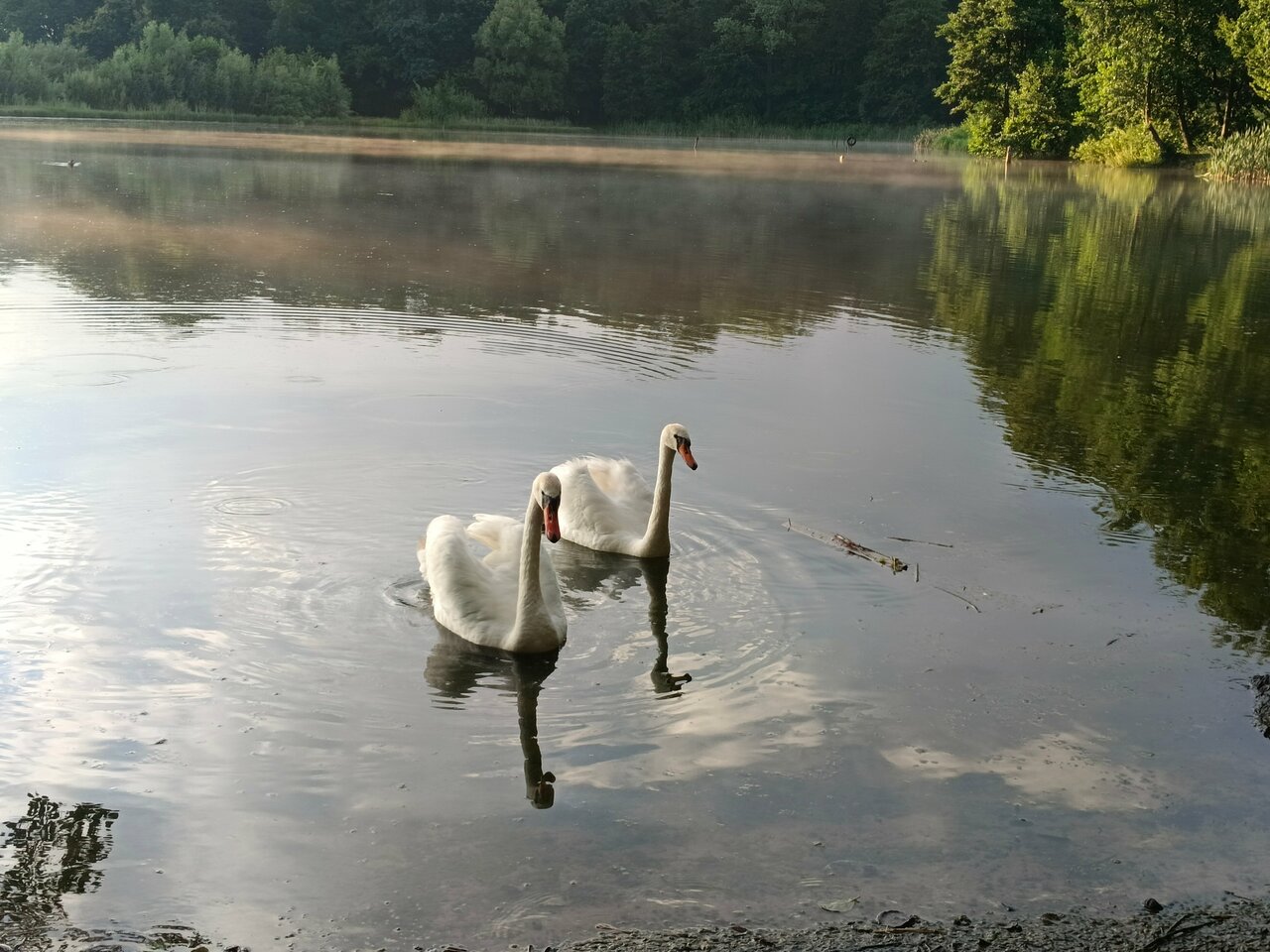 Виллы Альбертина Калининград-177