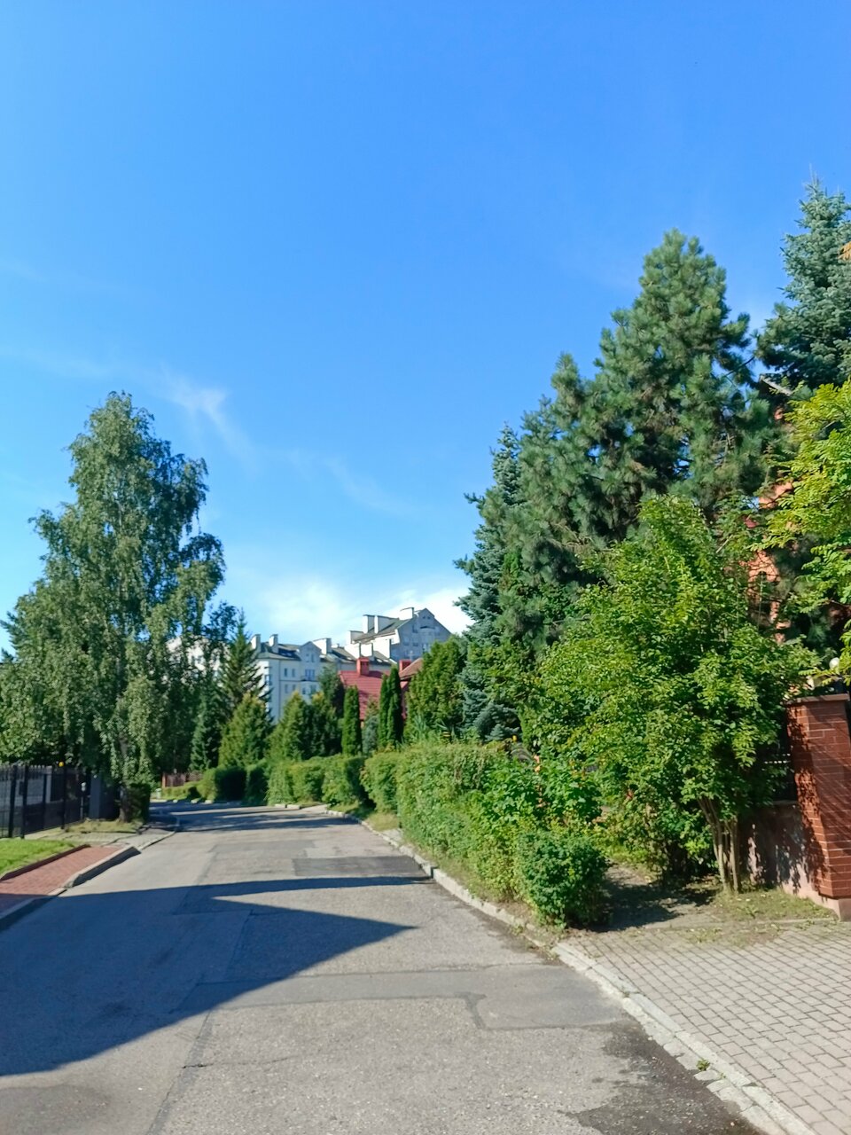 Виллы Альбертина Калининград-178