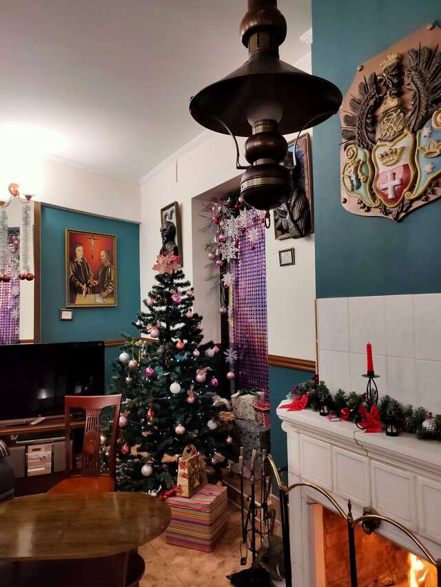 Виллы Альбертина Калининград-162