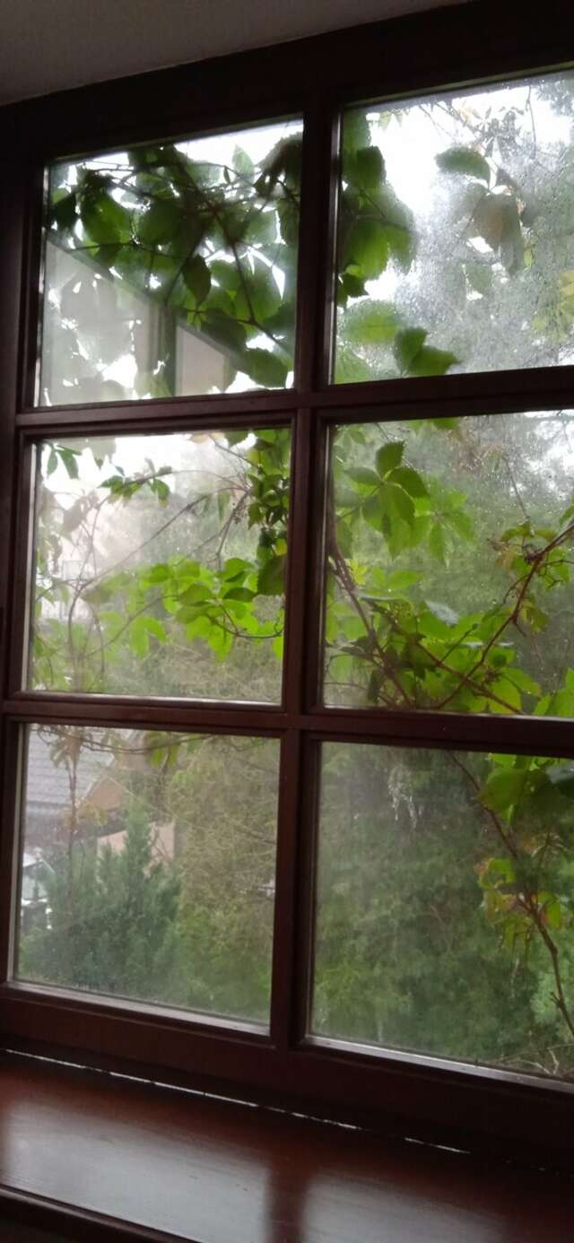 Виллы Альбертина Калининград-173